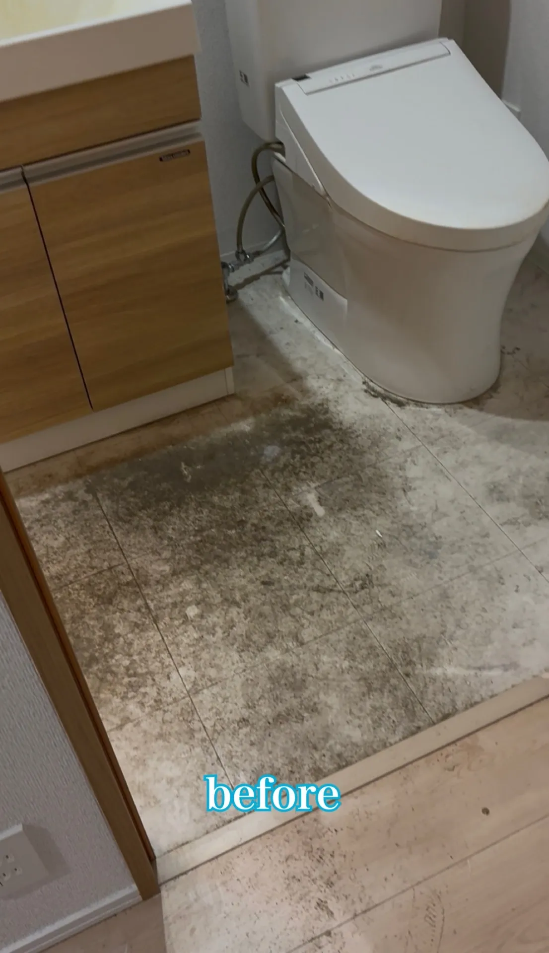 【1Kクリーニングに行ったら衝撃の状態だった…💥😰】